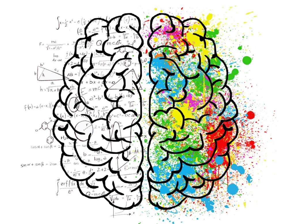 the creative and logical sides of the brain